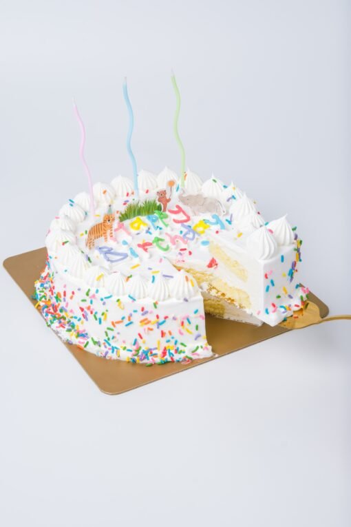 Kids Birthday Cake - Berry Pop