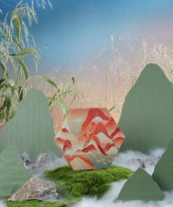 Set of 30 Assorted Cookies - CNY Hampers